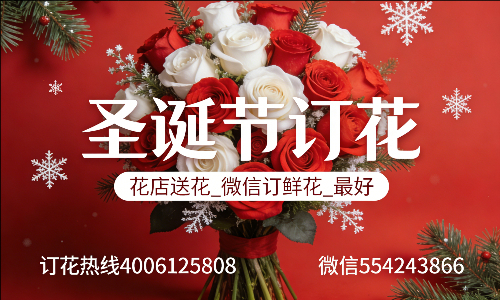 ��ݸ��ֻ���