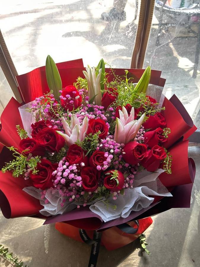 ��ݸ��ֻ���