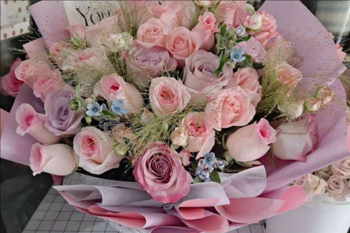 ��ݸ��ֻ���