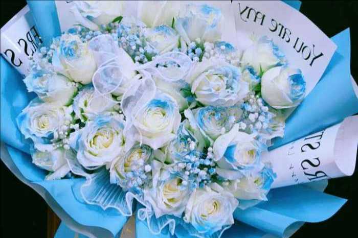 ��ݸ��ֻ���
