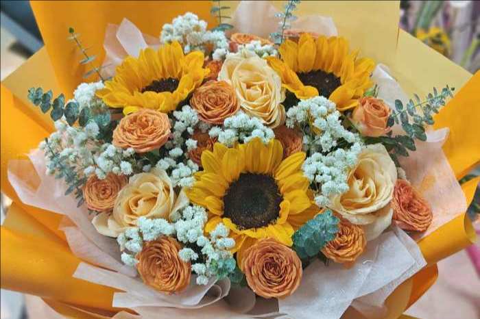 ��ݸ��ֻ���
