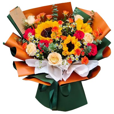 ��ݸ��ֻ���